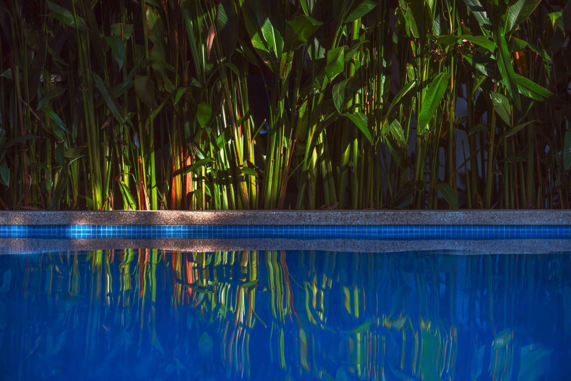 Black Bamboo Puerto Viejo de Talamanca Exterior photo